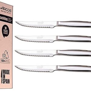 4-delige RVS Steakmessen Set - kwaliteit en design voor uw tafel (9101000447879)