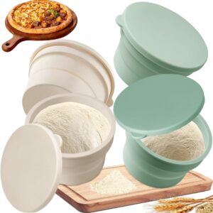 Set van 4 Herbruikbare Siliconen Pizza Boxen met Deksel voor Deegfermentatie (9101058931566)